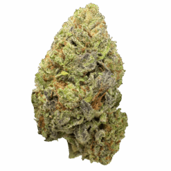 GUMMY WORMZ (80$0Z DEAL$)