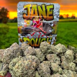 JANE DOUGH (100$0Z DEAL$)
