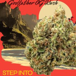 GODFATHER OG KUSH (100$0Z DEAL$)