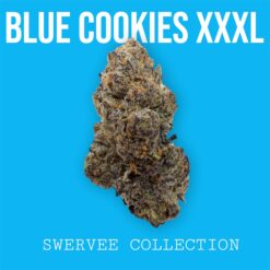 BLUE COOKIES XXXL  (120$OZ)