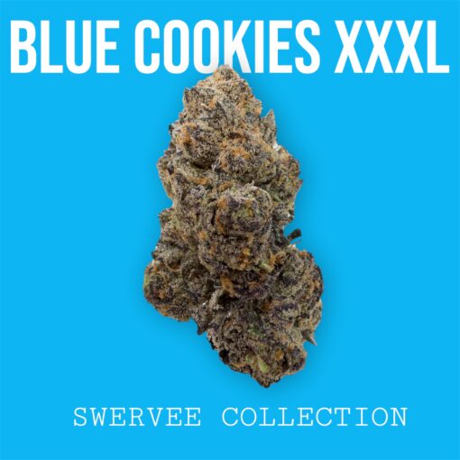 BLUE COOKIES XXXL  (120$OZ)