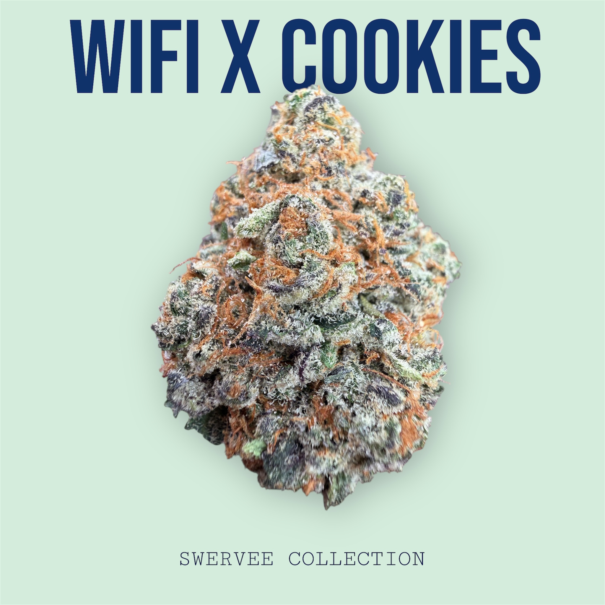 WIFI x COOKIES (100$OZ)