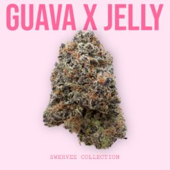 GUAVA x JELLY (100$OZ)