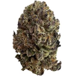 CHIPS AHOY X OREOZ  (100$OZ)