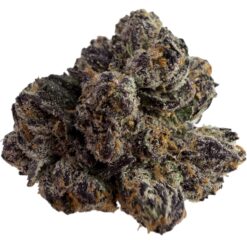 RAINBOW BELTZ X GLUE X GELATO 41  (100$OZ)