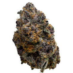 WONKA BELTZ (120$OZ) EXOTIXZ