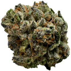 JOKERZ X GUSHERS (100$OZ)