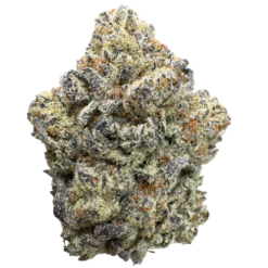GIRL SCOUT COOKIES #10 (100$OZ)
