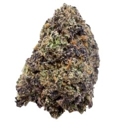 TRAP GOD (100$OZ)