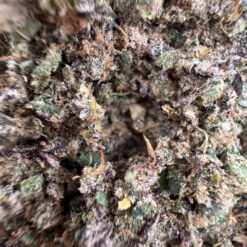 🆕 🚨🔥🌈 ✈️ POP ROCKZ EXOTIC SHAKE(🛩LOS ANGELES PACK💵) (75$0Z DEAL$)⚠️ HEAVY GAS x EXTREMELY POTENT